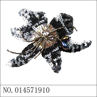 HairClips Black