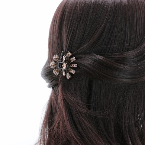 Crystal Rhinestone Claw Clip