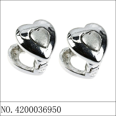 Earrings White Gold