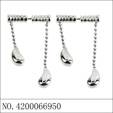 Earrings White Gold