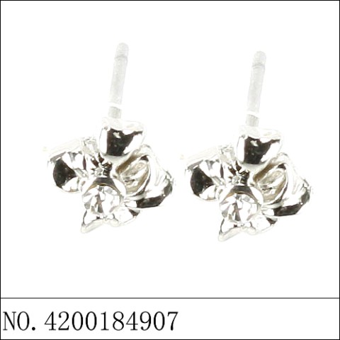 Earrings White