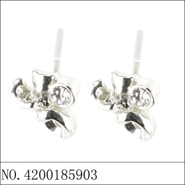 Earrings White