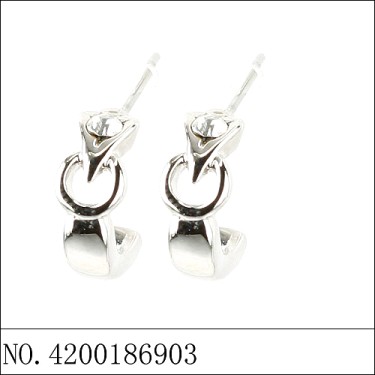 Earrings White