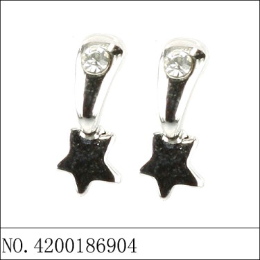 Earrings White