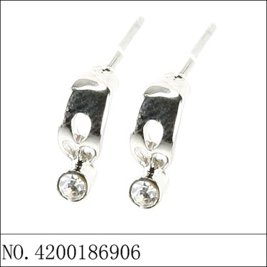 Earrings White