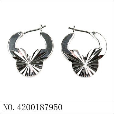 Earrings White Gold