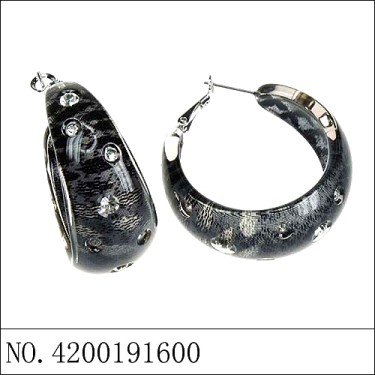 Earrings Gray