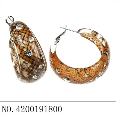 Earrings Brown