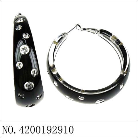 Earrings Black