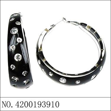 Earrings Black