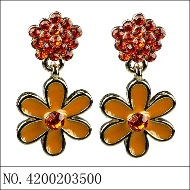 Earrings Orange