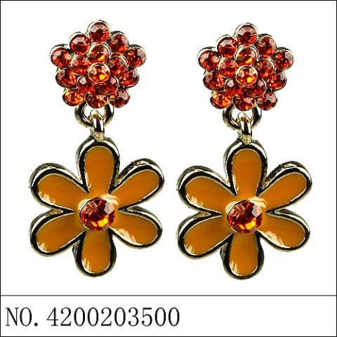 Earrings Orange