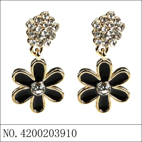 Earrings Black