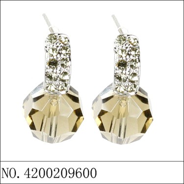 Earrings Gray