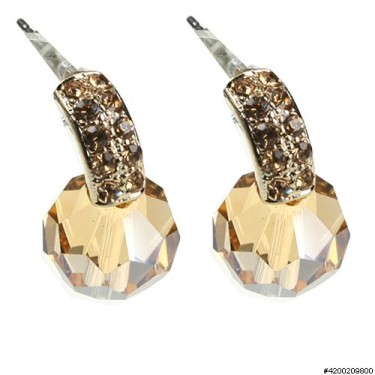 Earrings Brown