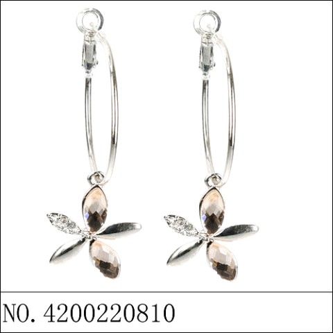 Earrings Brown