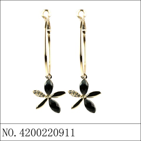 Earrings Black