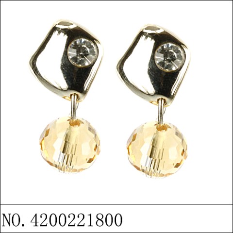 Earrings Brown