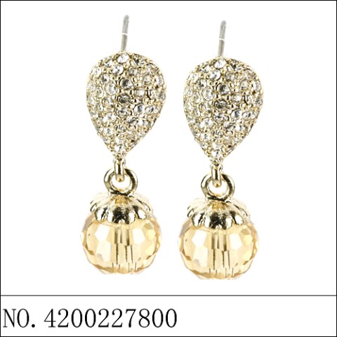 Earrings Brown