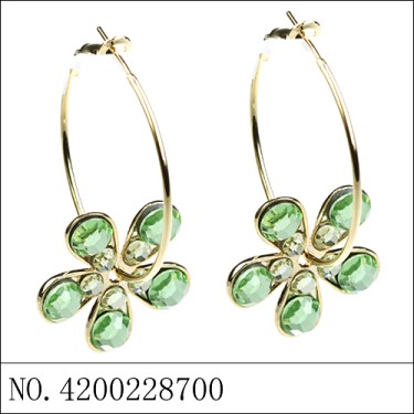 Earrings Green