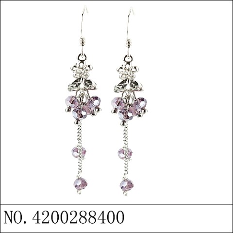 Earrings Purple