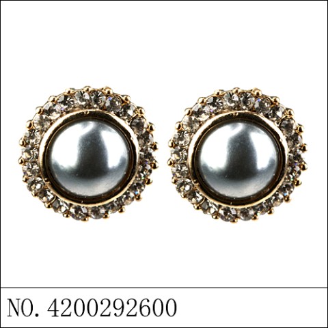 Earrings Gray