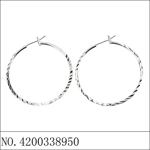 Earrings White Gold