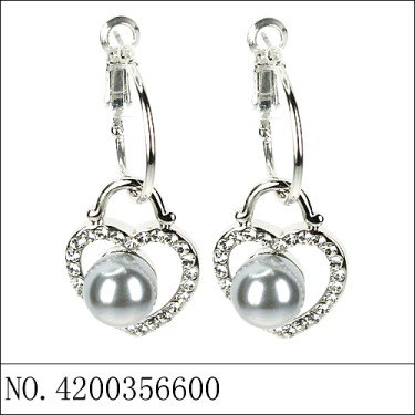 Earrings Gray