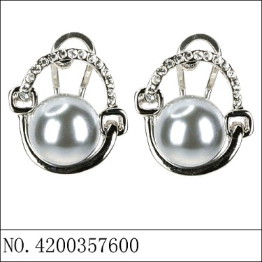 Earrings Gray