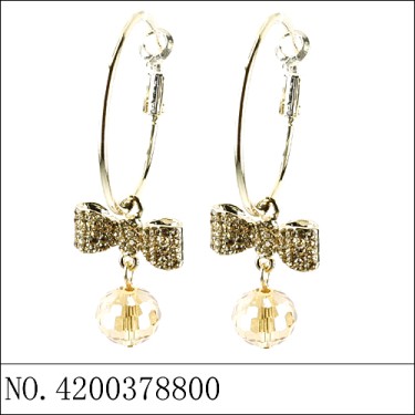 Earrings Brown