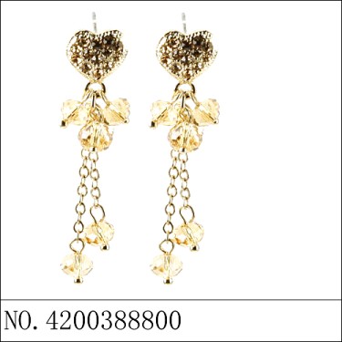 Earrings Brown