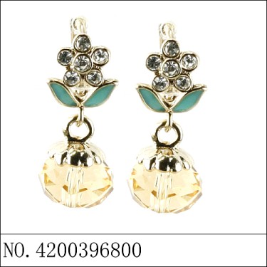 Earrings Brown