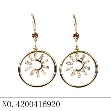 Earrings Gold