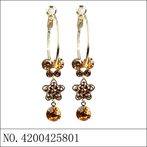 Earrings Brown