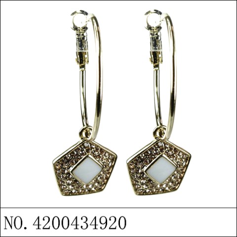 Earrings Gold