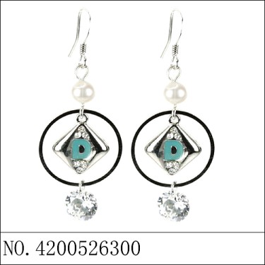 Earrings Blue