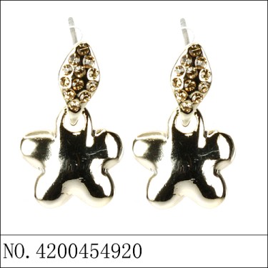 Earrings Gold