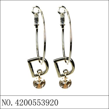 Earrings Gold