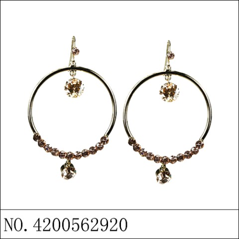 Earrings Gold