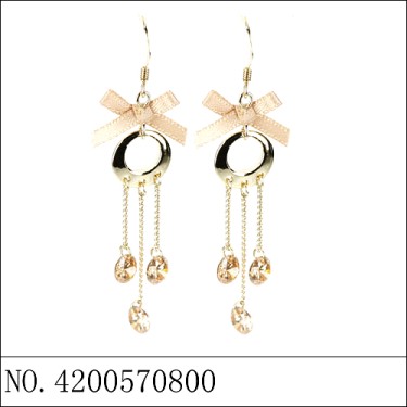 Earrings Brown