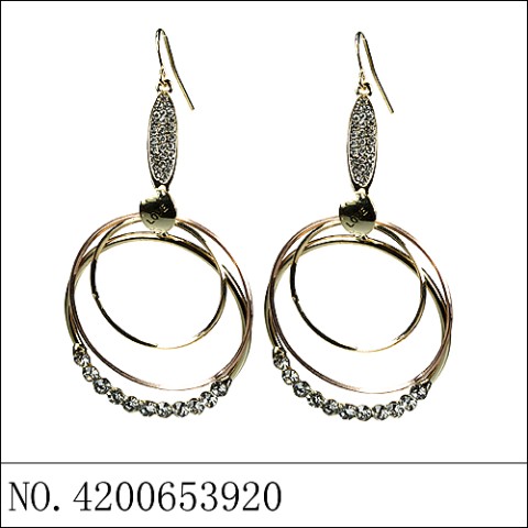 Earrings Gold