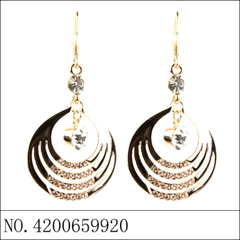 Earrings Gold