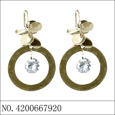 Earrings Gold