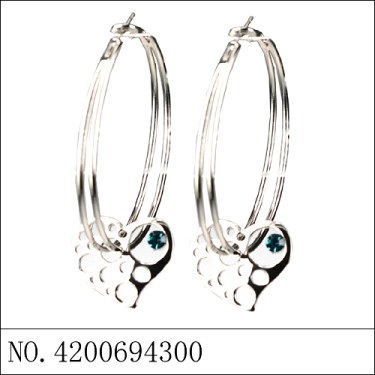 Earrings Blue