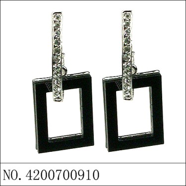 Earrings Black