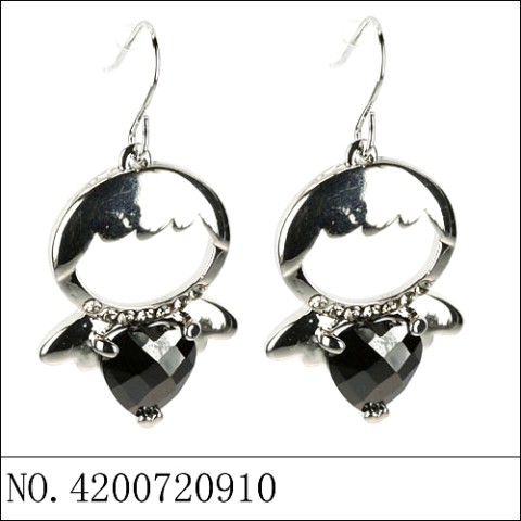 Earrings Black