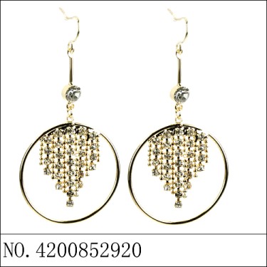 Earrings Gold