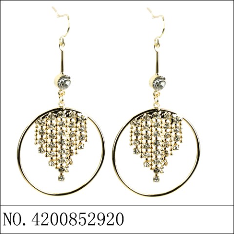 Earrings Gold