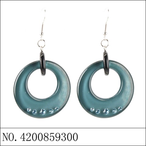 Earrings Blue