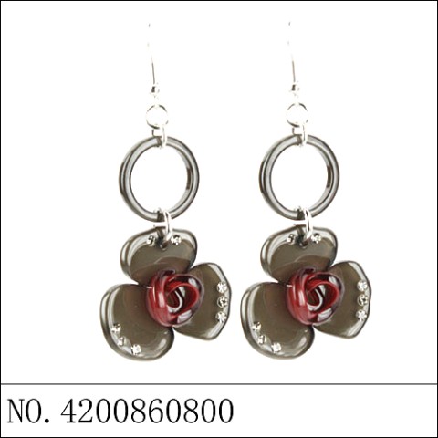 Earrings Brown